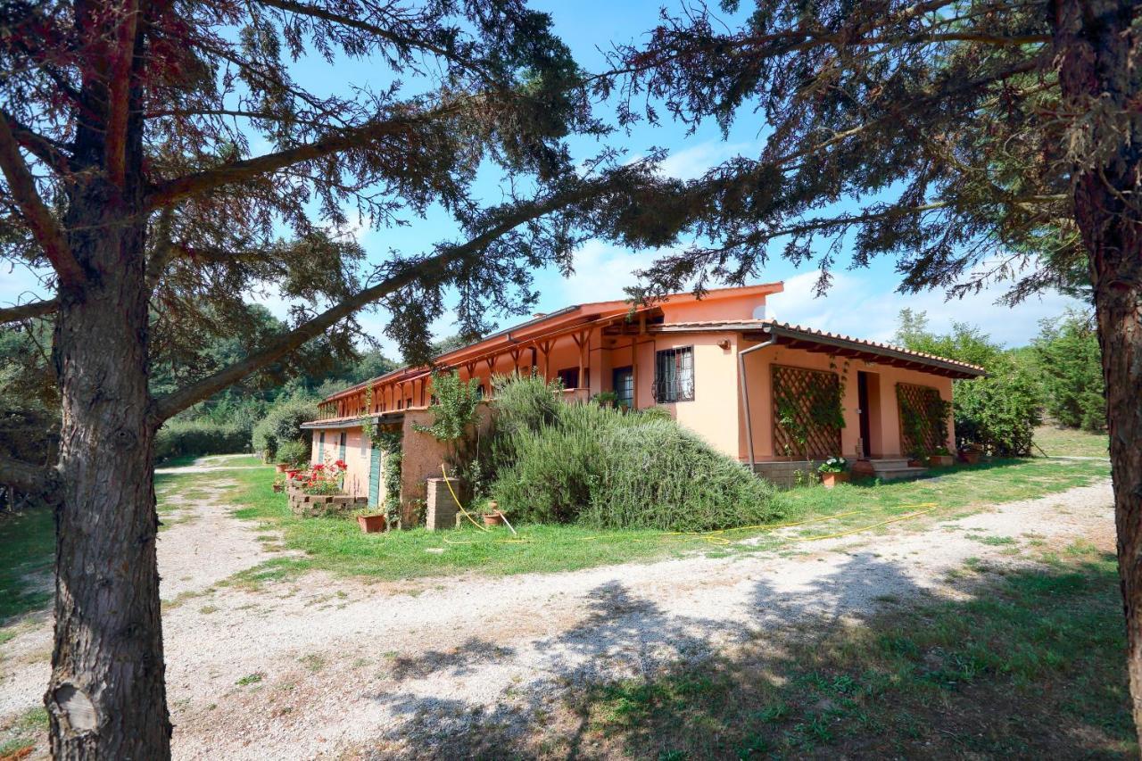 Hostel La Dimora Degli Etruschi Civitella Cesi Exterior foto