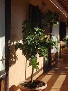 Hostel La Dimora Degli Etruschi Civitella Cesi Exterior foto